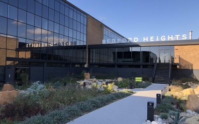 Bedford Accountants Ltd Scales the Heights